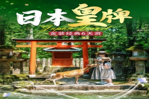 【日本6日游】日本皇牌金装经典6日游
